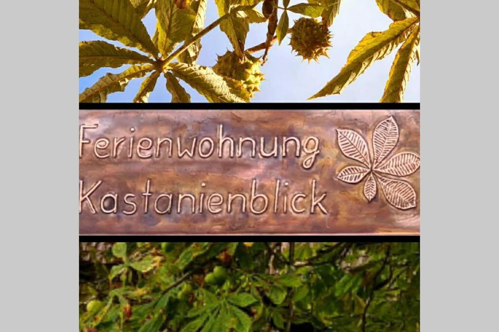 Apartmán Kastanienblick Sankt Andreasberg Exteriér fotografie