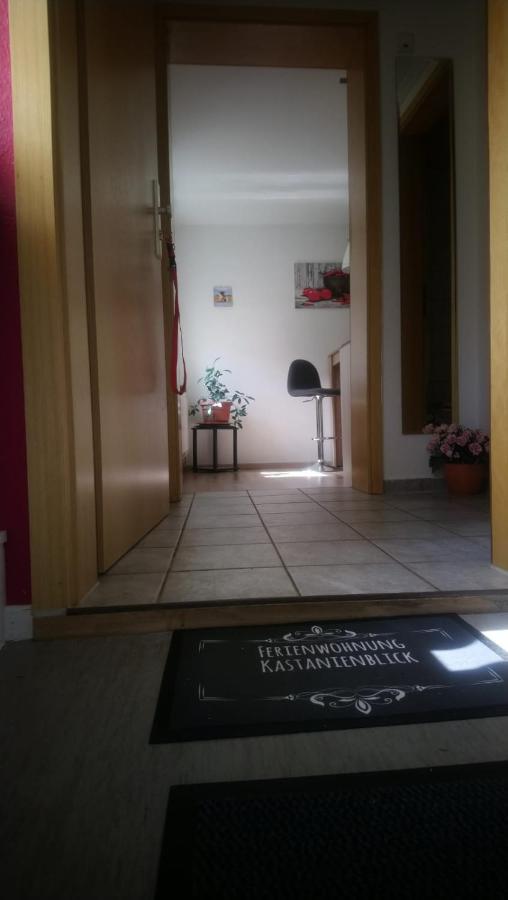 Apartmán Kastanienblick Sankt Andreasberg Exteriér fotografie